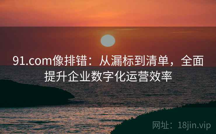 91.com像排错：从漏标到清单，全面提升企业数字化运营效率
