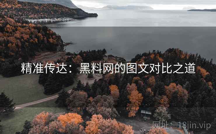 精准传达：黑料网的图文对比之道