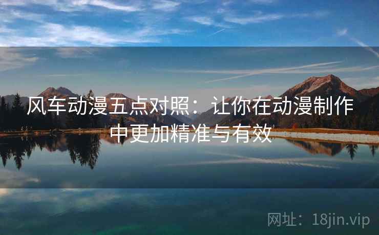 风车动漫五点对照：让你在动漫制作中更加精准与有效