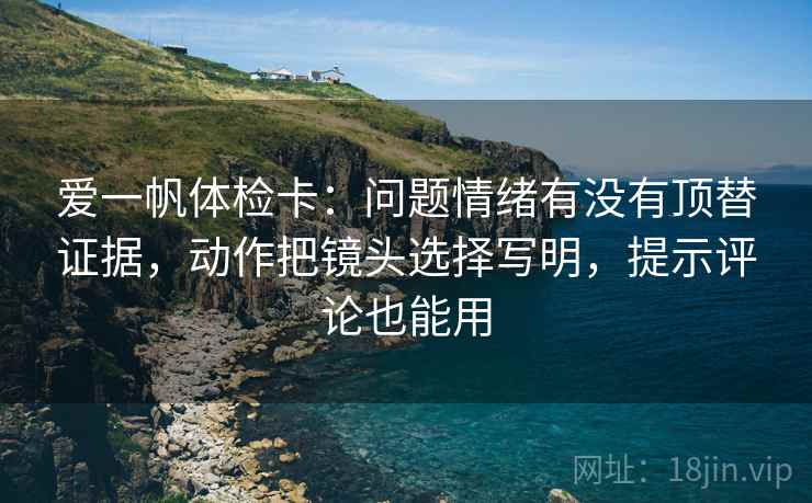 爱一帆体检卡：问题情绪有没有顶替证据，动作把镜头选择写明，提示评论也能用